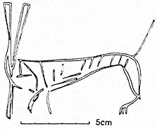 Gebel Tjauti. Early image of the Seth animal