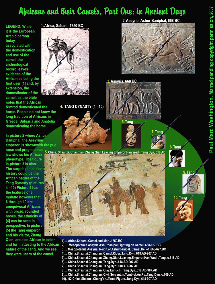 LEGEND: While
it is the European
Arabic person 
today 
associated with
the domestication
and use of the 
camel, the
archeological
record leaves
evidence of the
African as being the 
first user [1] and, by 
extension, the 
domesticator of the 
camel; as the bible
notes that the African 
Nimsticator of the 
horse.

In picture 2 where
Ashur Baniphal,,
the Assyrian 
emperor, is shown
with the pug nose
and prognacious
jaw, he gives 
evidence of being
African phenotype.
The figure in picture
3 is also. The surprise
in ancient history
could be the African
nature of the Tang
Dynasty (pictures 5 -
10) Picture 4 has
the features of a 
mulatto however that
6 through 10 are
unequivocal Africans with
broad, rounded noses, the
ethnicity of [4] can be seen
in perspective. In picture
[5] the Tang emperor and
his visitor, Zhang Qian, 
are also African phenotype
attesting to the African nature
of the Tang and their camel use...art, art history, Paul Marc Washington, paleoneolithic@yahoo.com 