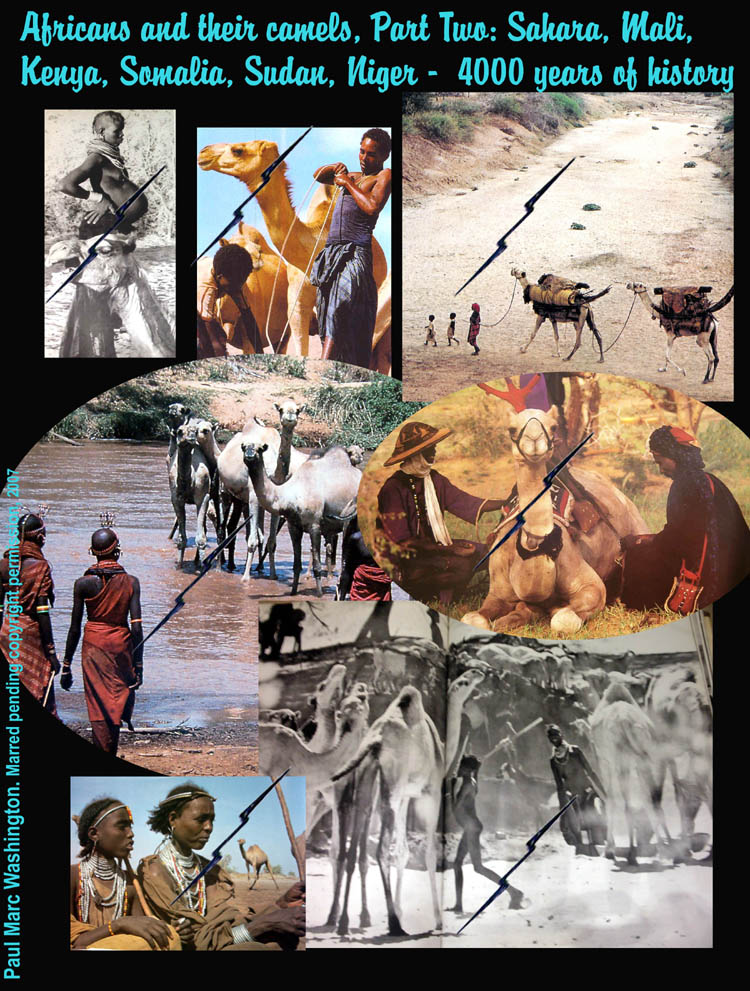 Of all the lands in the world, Africa is more suited to the camel than any other and has the longest history of the camel use...art, art history, Paul Marc Washington, paleoneolithic@yahoo.com 