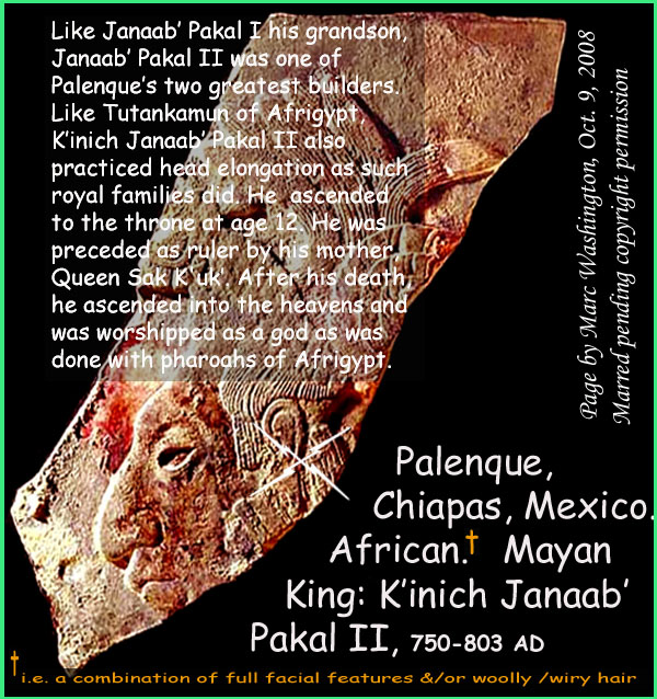 Like Janaab Pakal I his grandson, 
Janaab Pakal II was one of 
Palenques two greatest builders.
Like Tutankamun of Afrigypt, 
Kinich Janaab Pakal II also 
practiced head elongation as such
royal families did. He  ascended 
to the throne at age 12 on July 
29, 615 AD. He was preceded as 
ruler by his mother, Queen 
Sak K'uk.. After his death, he 
was worshipped as a god as was
done by pharoahs of Afrigypt...Who or what is African? Geographically, those who live in Africa whose ancestry there dates back millions of years. Physically, Africans are those (one can argue  exceptions abound) who have some combination of full facial features and/or wooly / wiry hair. This question is of significance as those who are physically African were your earliest known peoples of the worlds earliest societies and also the first historical monarchs of North America predating the Mayflower in cases by over 1500 years. 

This post is part of a series identifying by name these Mayan monarchs of African phenotype. Further, analogies between ancient Mayan and African societies exist which would seem to indicate that Mayan roots are found in Africa. In Mexico, these monarchs are from Bonampak, Pelenque, Yaxhilan; in Guatemala from Quirigua and Machaquila; in the Honduras, from Copan.

In this series, 17 named, known, historical monarchs will be presented a new one every few days over the period of perhaps three weeks. The one who is the subject of any given post will have his or her name capitalized in the Kings list below starting with monarch of Bonampak known as King Fish Fin. 

Those whose browsers allow will see the imbedded picture below the text. Otherwise, following the link will reveal the picture.

SOUTHEAST MEXICO, CHIAPAS, BONAMPAK
[1]	KING FISH FIN, c. 521 AD
[2]	Likely King Chaan Muan-I  c. 603 AD
SOUTHEAST MEXICO, CHIAPAS, PELENQUE
[3]	King Butzaj Sak Chiik, 487-501 AD
[4]	King K'inich Janaab' Pakal-I, 615-683 AD
[5]	King Upakal K'inich  721 736 AD
[6]	King K'inich Janaab' Pakal-II, 742-746 AD
SOUTHEAST MEXICO, CHIAPAS, YAXCHILAN
[7]	King Itzamnaaj Balam-II, 681-742 AD
[8]	Queen, Kabal Xook, 681-742 AD
[9]	Queen Evening Star c. 700-750 AD
[10]	King YaxuunBalam-IV, 752-768 AD
[11]	King YaxuunBalam-IV, 752-768 AD
[12]	Mut Balam Servant Of Queen Kabal Xook, 681-710
GUATEMALA, IZABAL, QUIRIGUA
[13]	King Tutuum Yohl Kinich, c. 455.AD
[14]	King Kak Tiliw Chan Yoaat, c. 724-785 AD
GUATAMALA, PETEN, MACHAQUILA
[15]	King Siyaj Kin Chaak, c. 820 AD
HONDURAS, COPAN
[16]	King Waxaklajuun  Ubaah Kawiil, c. 695-738 AD
[17]	King Yax Pasaj Chan, 763-810 AD


Identical features of African-Mayan Civilization

1. Divine kingship
2. Sun gods
3. God of writing
4. masonry block for monumental buildings
5. pyramids
6. transformation at death to divine being
7. Sun god combating its enemy, the serpent
8. the becoming of an ancestor after death
9. Patron gods
10. Gods carried in effigy
11. Use of dynastic names (e.g. Balam-1, Balam-II  Balam V)
12. Enthronement ceremony
13. Court lords
14. Iconography of trampling the enemy underfoot (seen in Egypt)
15. Incense burners
16. Head elongation 
17. Use of shields in warfare
18. Identical loop-earing ornamentation
19. Three pairs of male/female creation gods under one supreme god
20. Twin brothers in the Cain-Able mode
21. King as central axis of universe
22. A heaven of four quadrants
23. A tripartite creation: underworld, earth, heavens
24. An Osiris-like corn god called the Maize god
25. Perhaps same type of dug-out canoes
art, art history, Paul Marc Washington, paleoneolithic@yahoo.com 