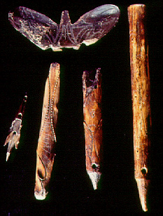 14. Old Bering Sea culture - hunting tools.